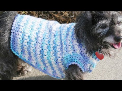 Crochet Dog Sweater | INTERMEDIATE | The Crochet Crowd